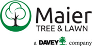 Tree Care & Lawn Care Rochester, MN